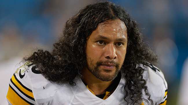sports-hair-troy-polamalu.jpg